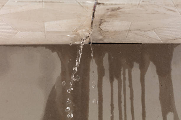 Professional Structural Drying technician working in Wayland, OH